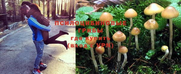спиды Магадан