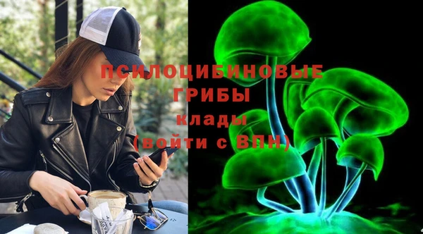 apvp Мегион